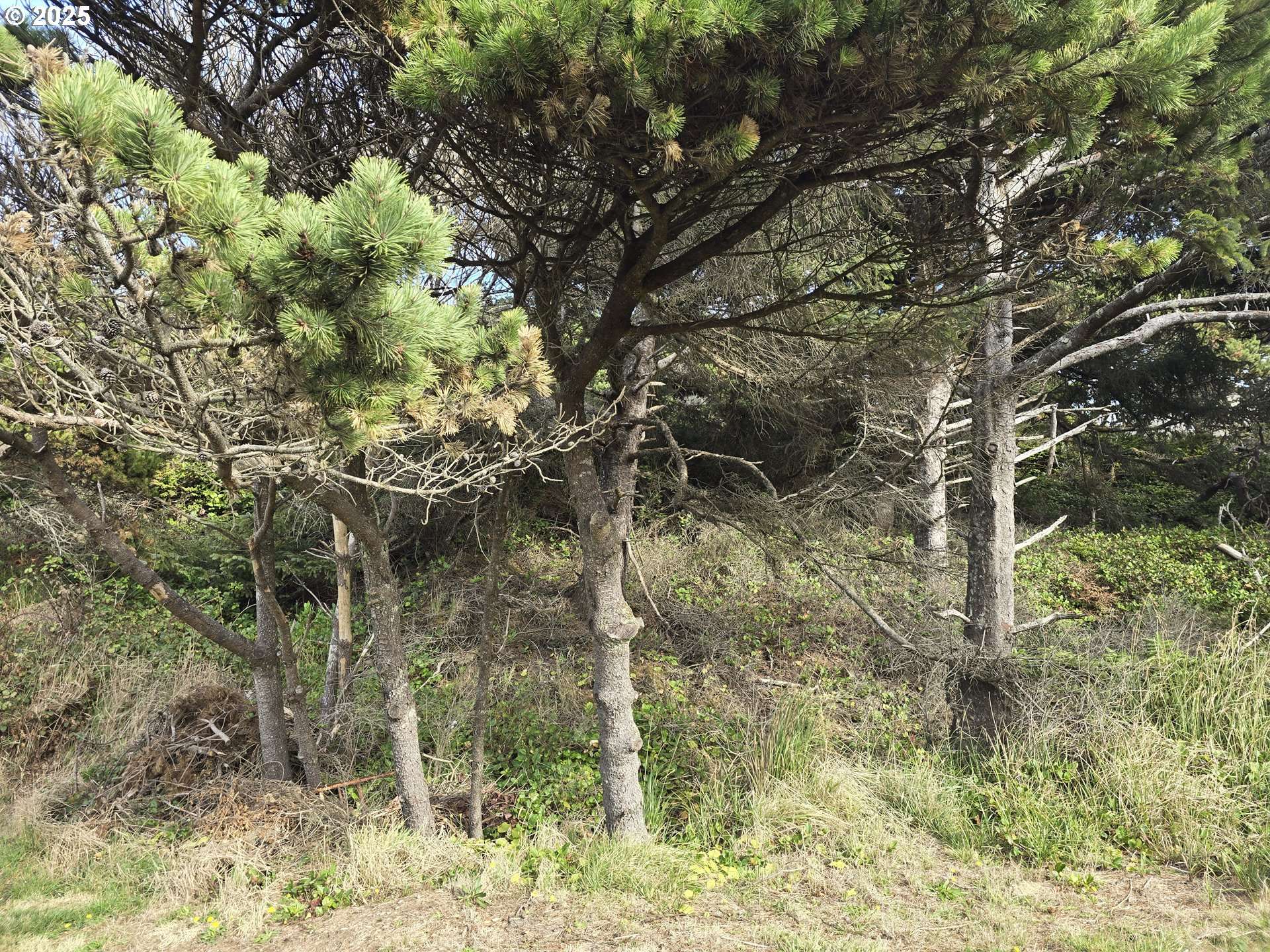 0 Lookout ST #2, Florence, OR 97439