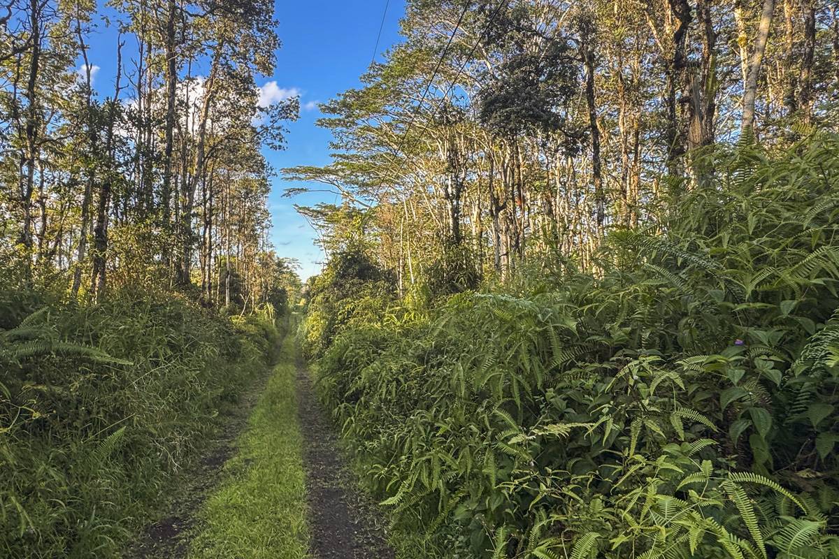 Pahoa, HI 96778,NANAWALE FARMS RD