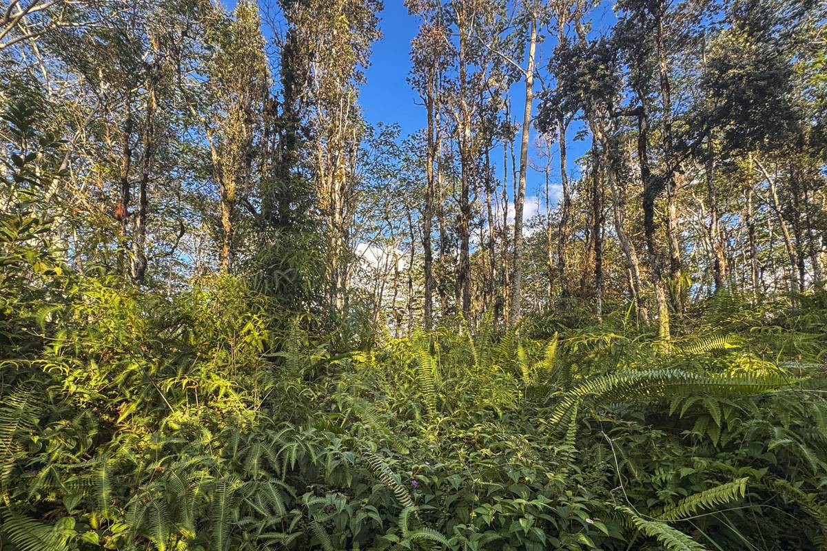 Pahoa, HI 96778,NANAWALE FARMS RD