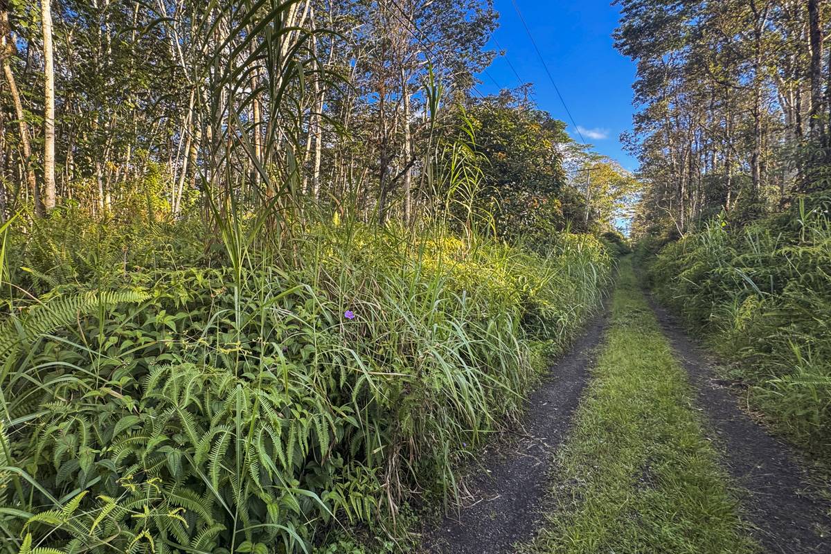 Pahoa, HI 96778,NANAWALE FARMS RD