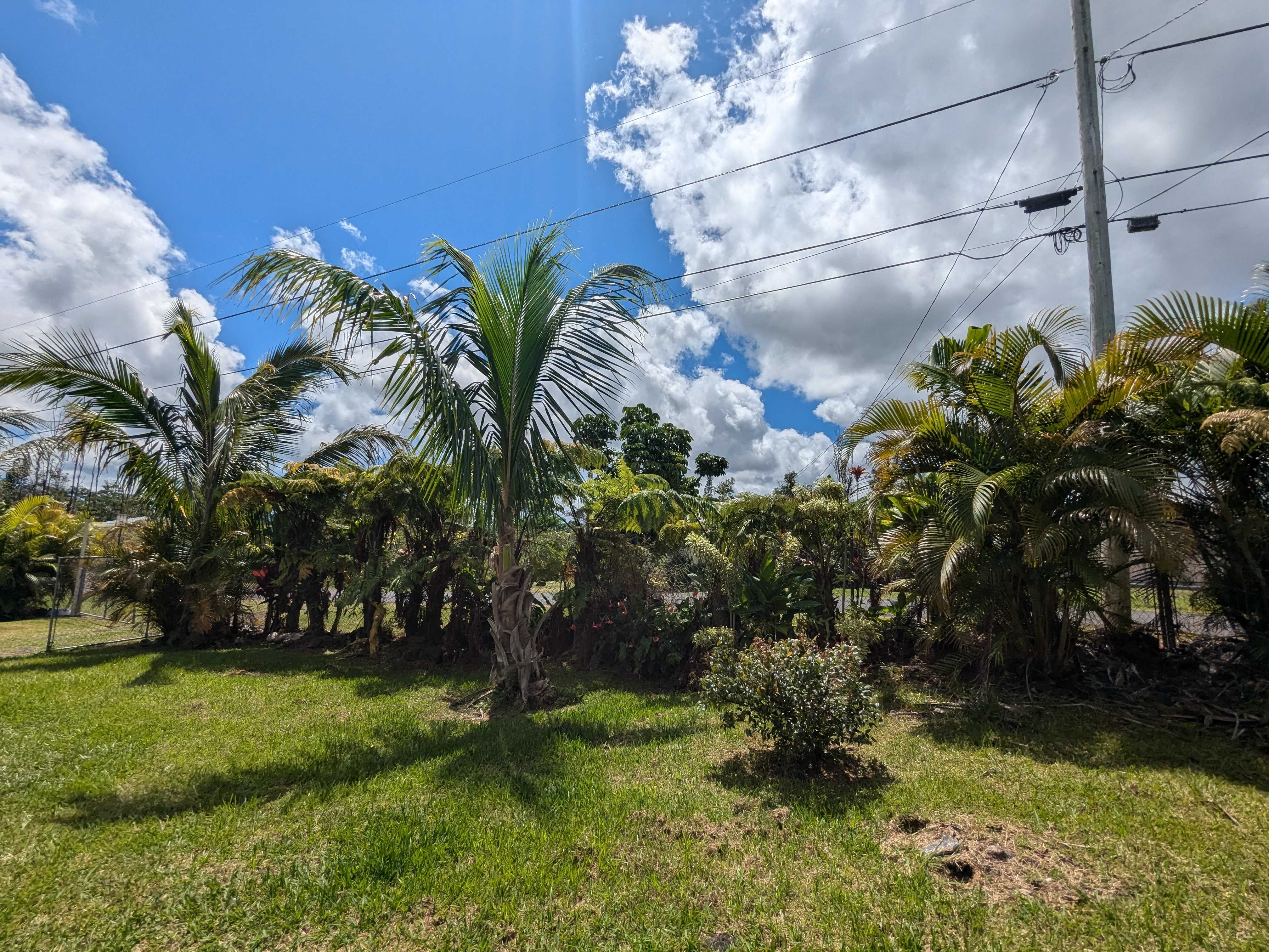 Pahoa, HI 96778,16-2075 HANALE DR