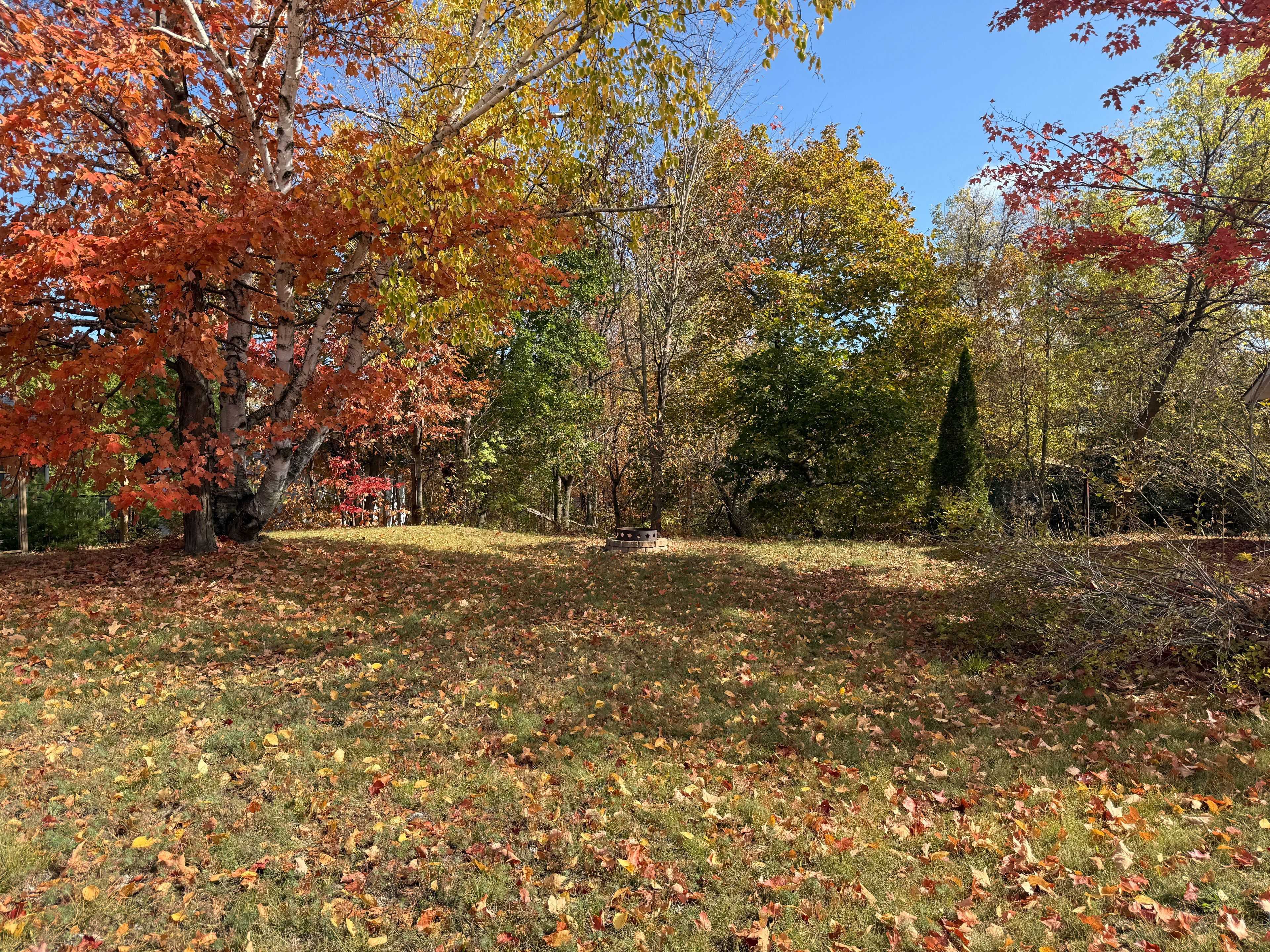 Gravenhurst, ON P1P 1C3,Vacant Lot John ST N
