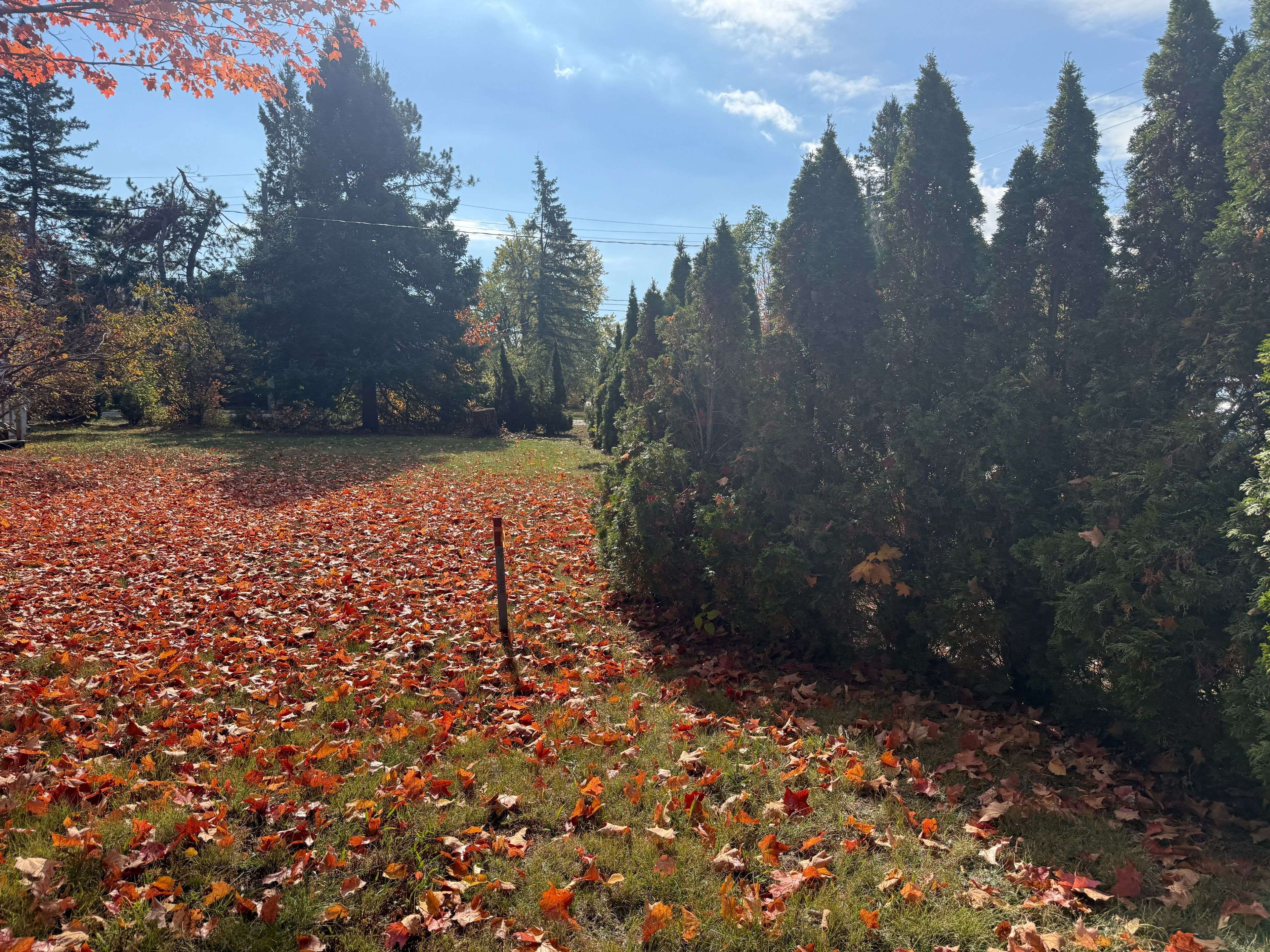 Gravenhurst, ON P1P 1C3,Vacant Lot John ST N