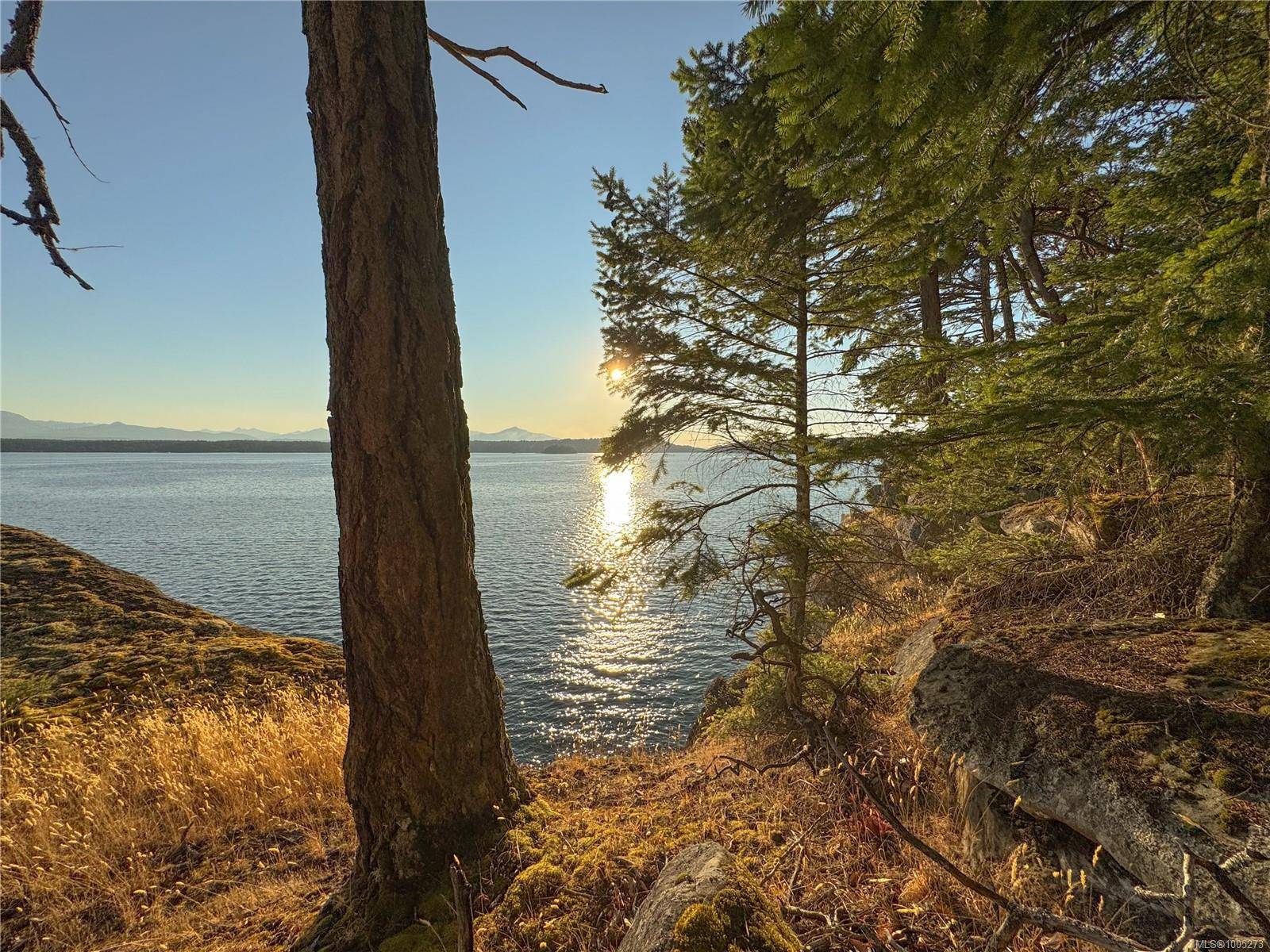 Decourcy Island, BC V0R 1X7,179 Link Bay Rd