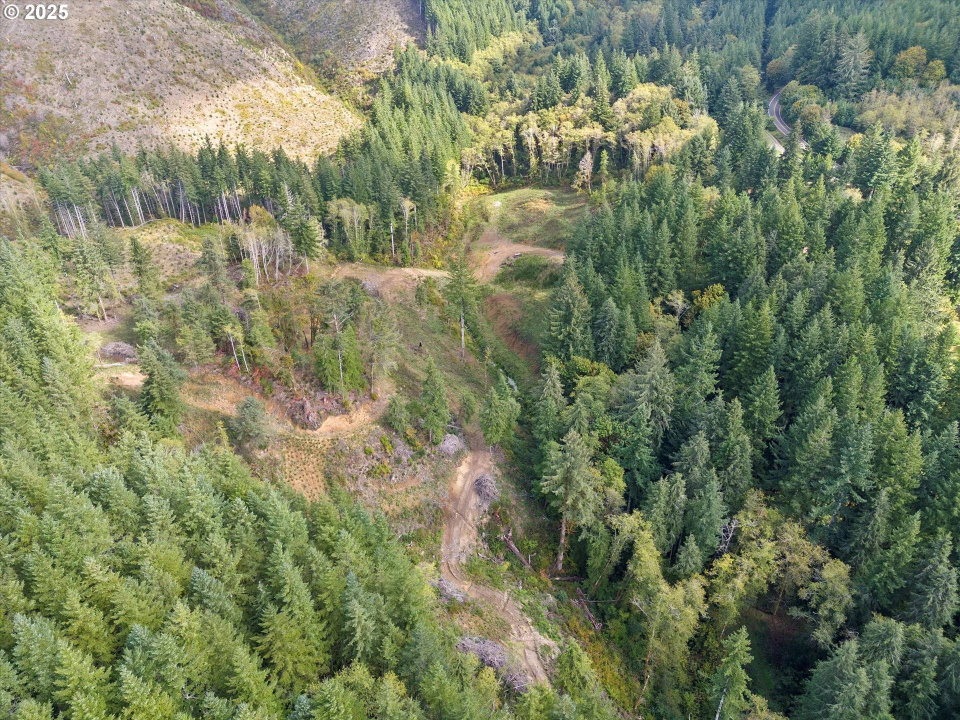 Toledo, OR 97391,00 Pioneer Mountain LOOP