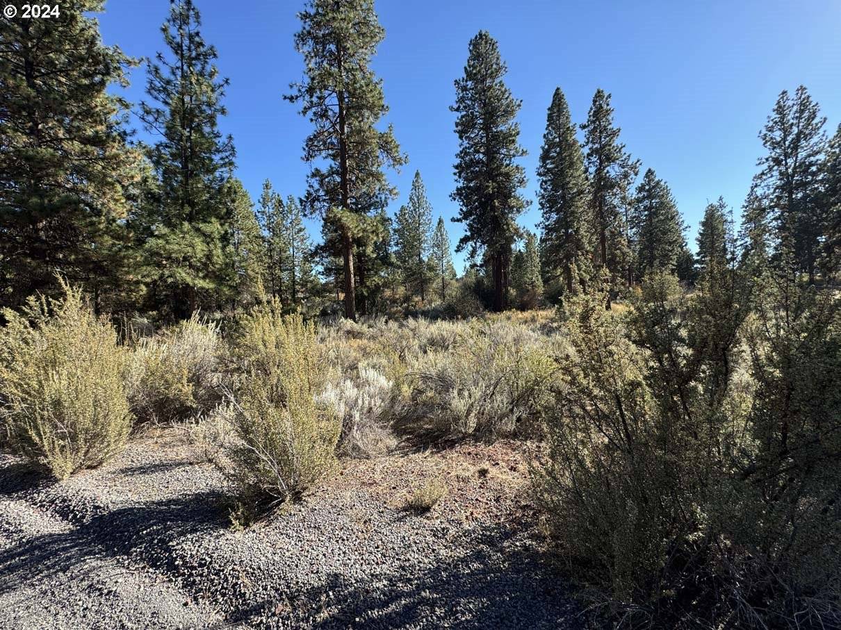 Chiloquin, OR 97624,Legget DR ##5