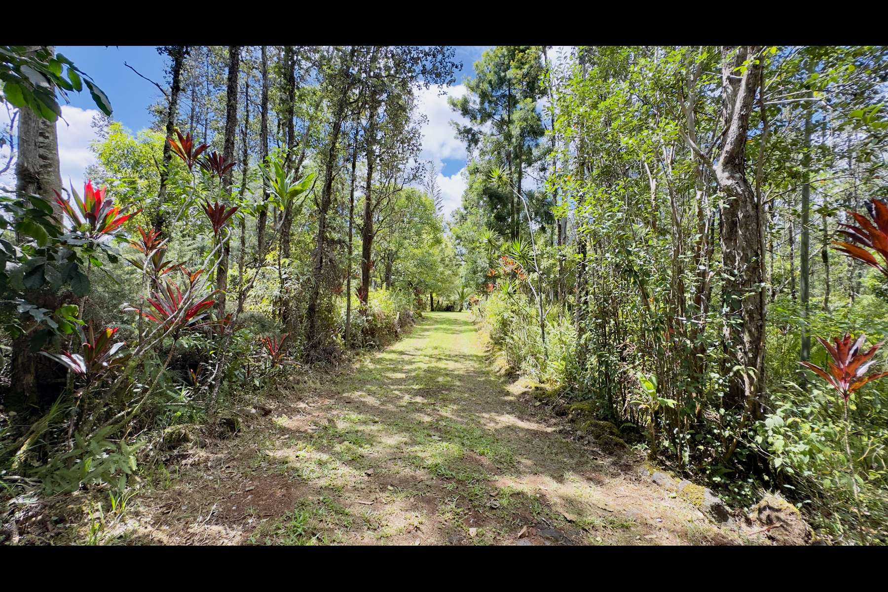 Kurtistown, HI 96760,16-1594 40TH AVE