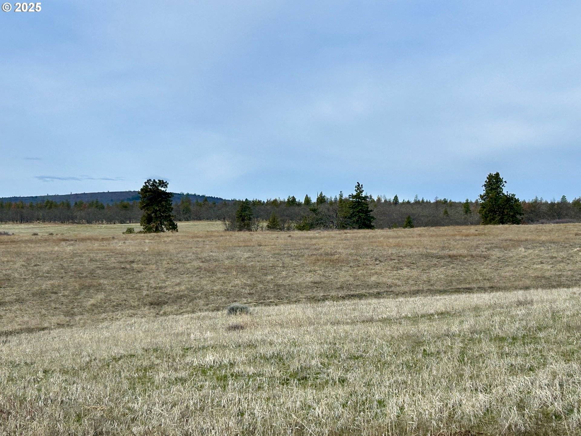 Goldendale, WA 98620,71 Homestead RD