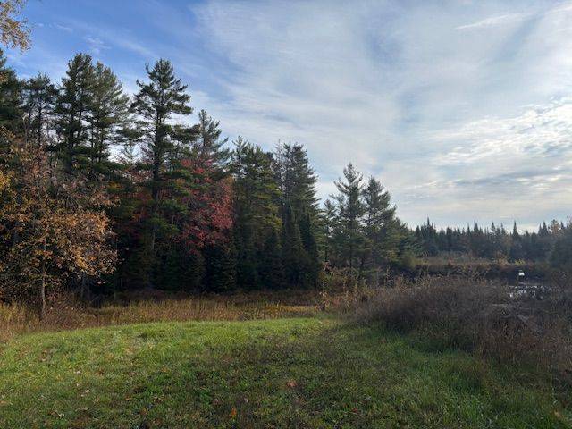 Minden Hills, ON K0M 2A0,4326 County Road 121 RD