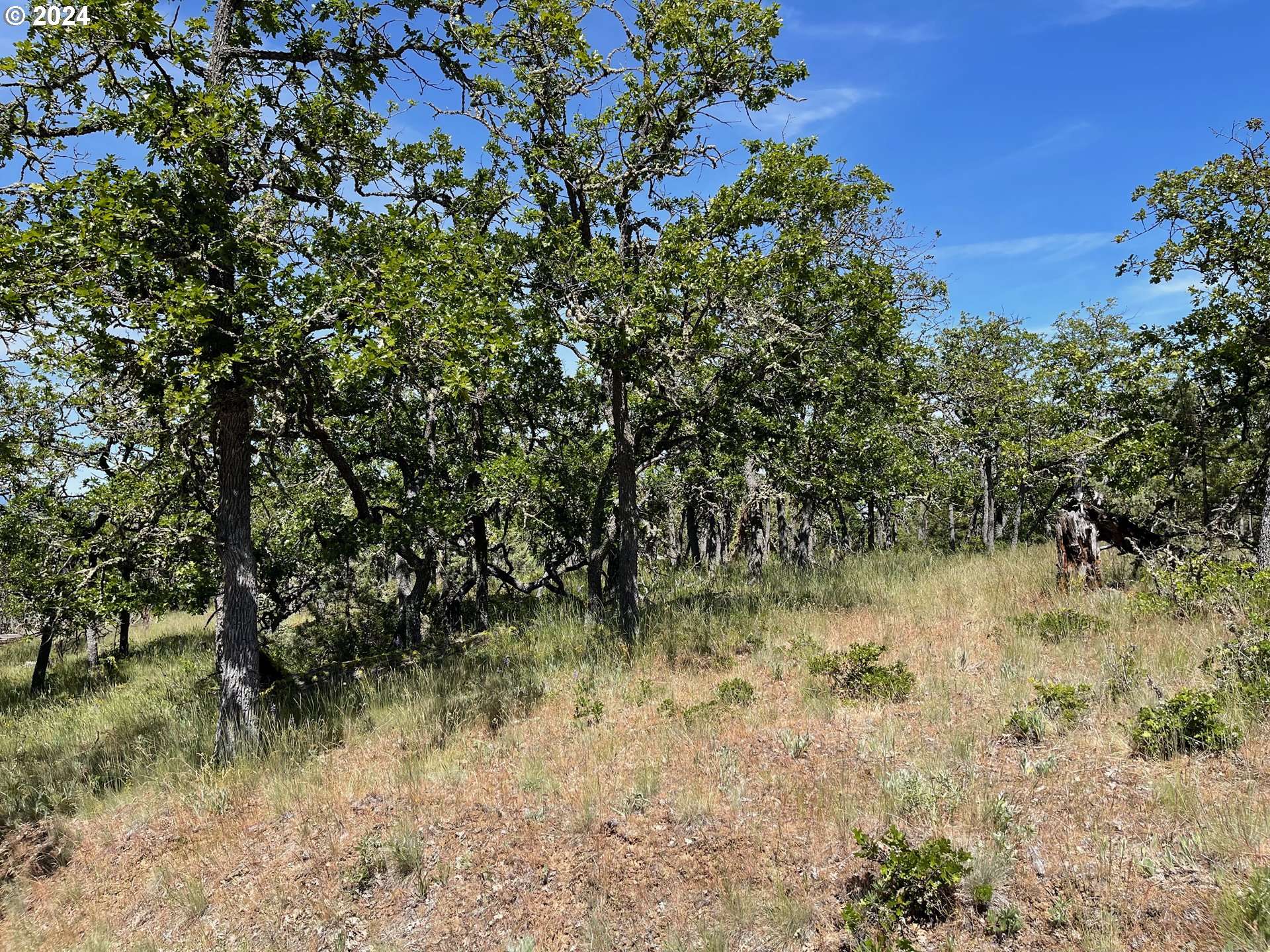 Goldendale, WA 98620,30 COLUMBIA HILLS LN