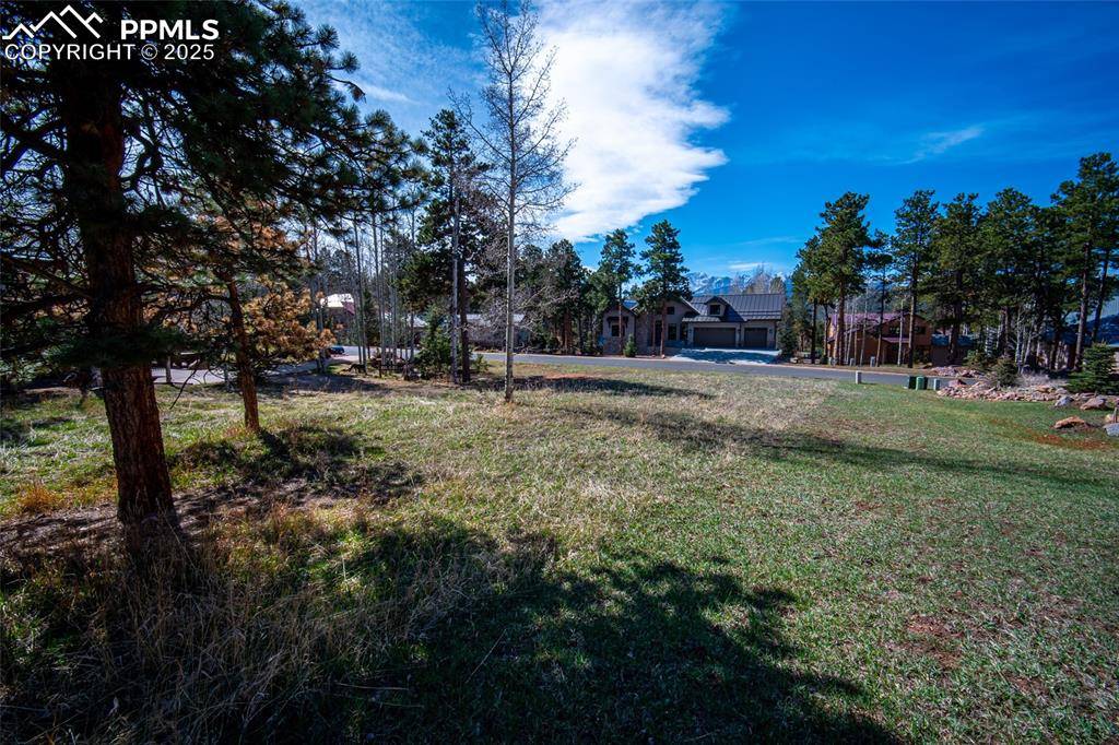 Woodland Park, CO 80863,620 Skyline DR