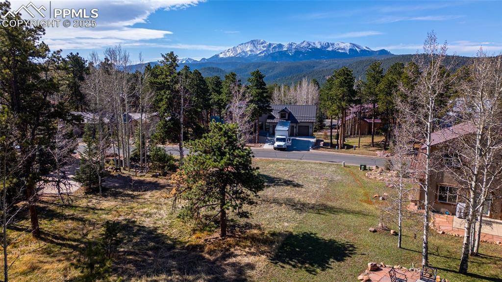Woodland Park, CO 80863,620 Skyline DR