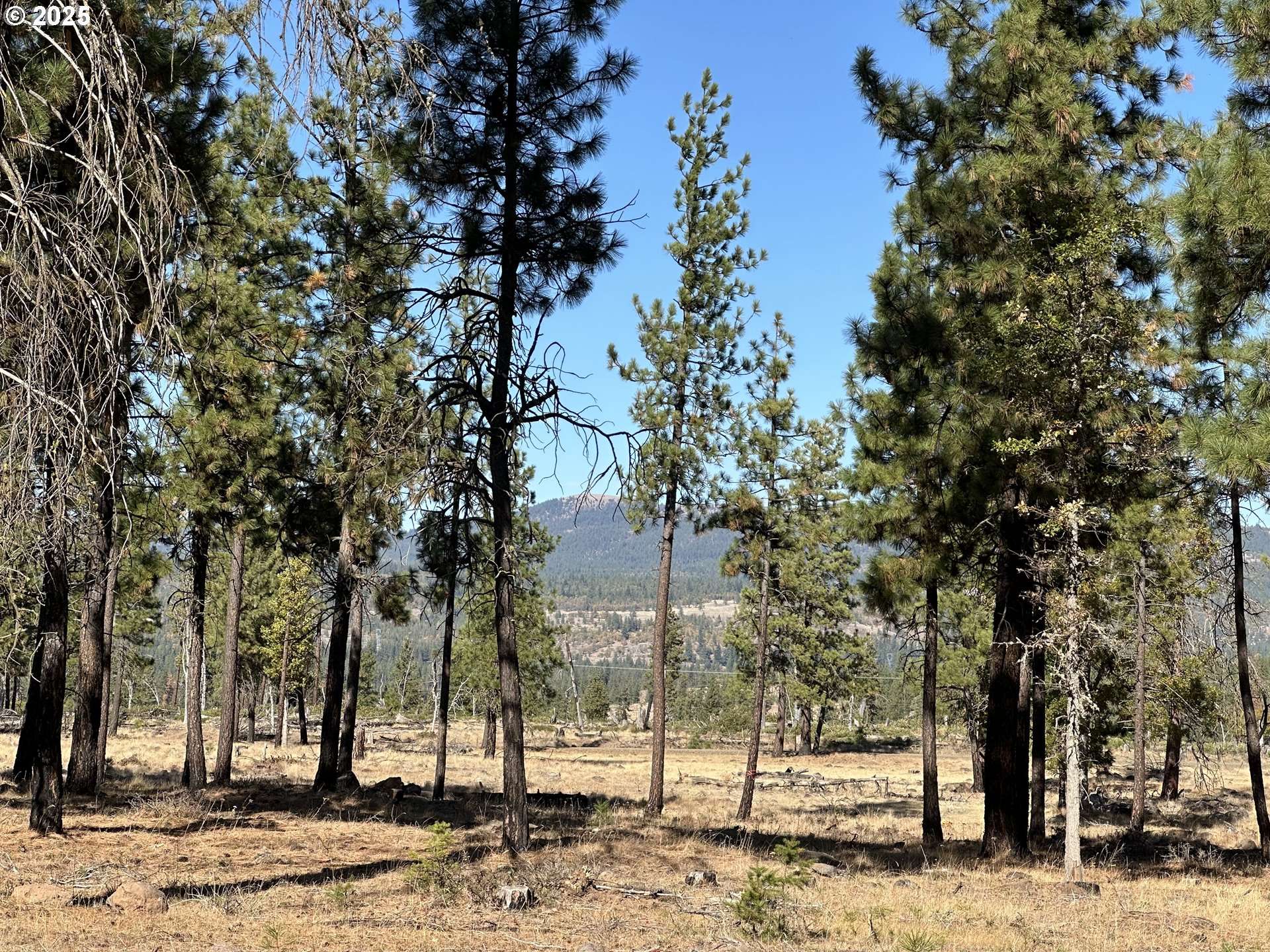 Goldendale, WA 98620,000 LEE RD