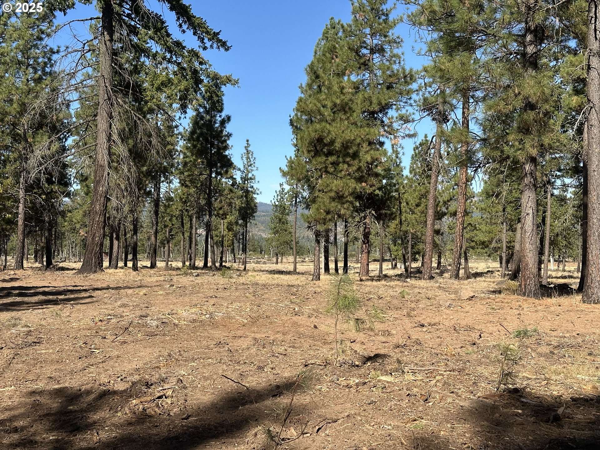 Goldendale, WA 98620,000 LEE RD