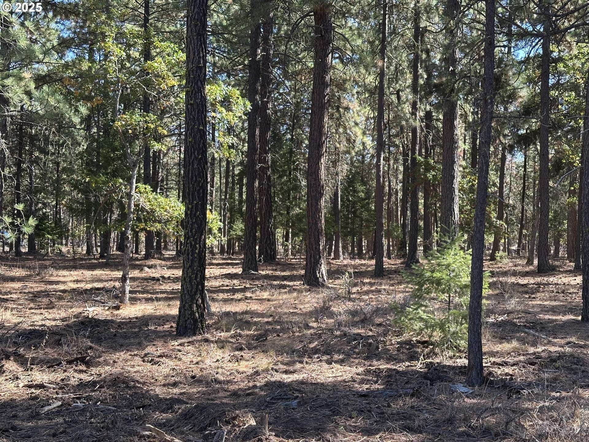 Goldendale, WA 98620,000 LEE RD