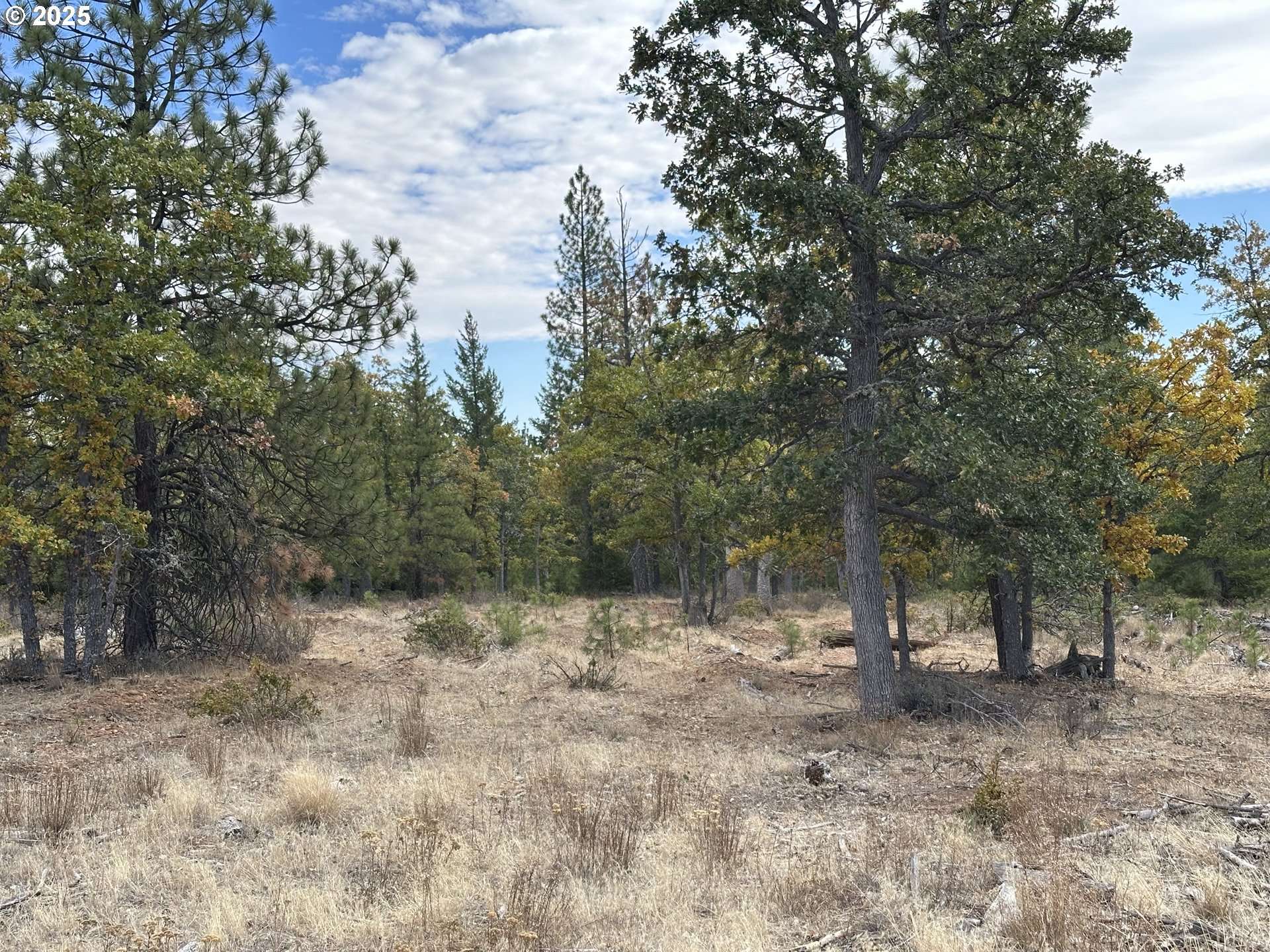 Goldendale, WA 98620,000 Highway 97