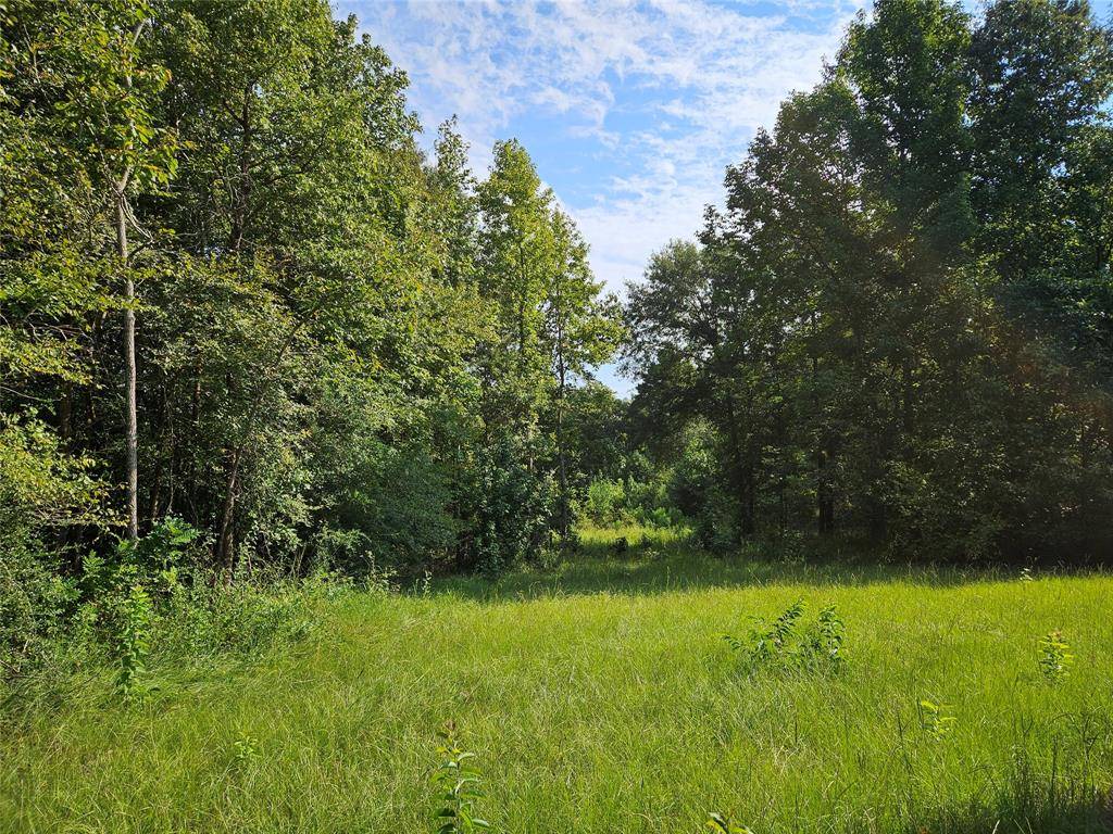 Henderson, TX 75654,TBD South Co. Rd 4255