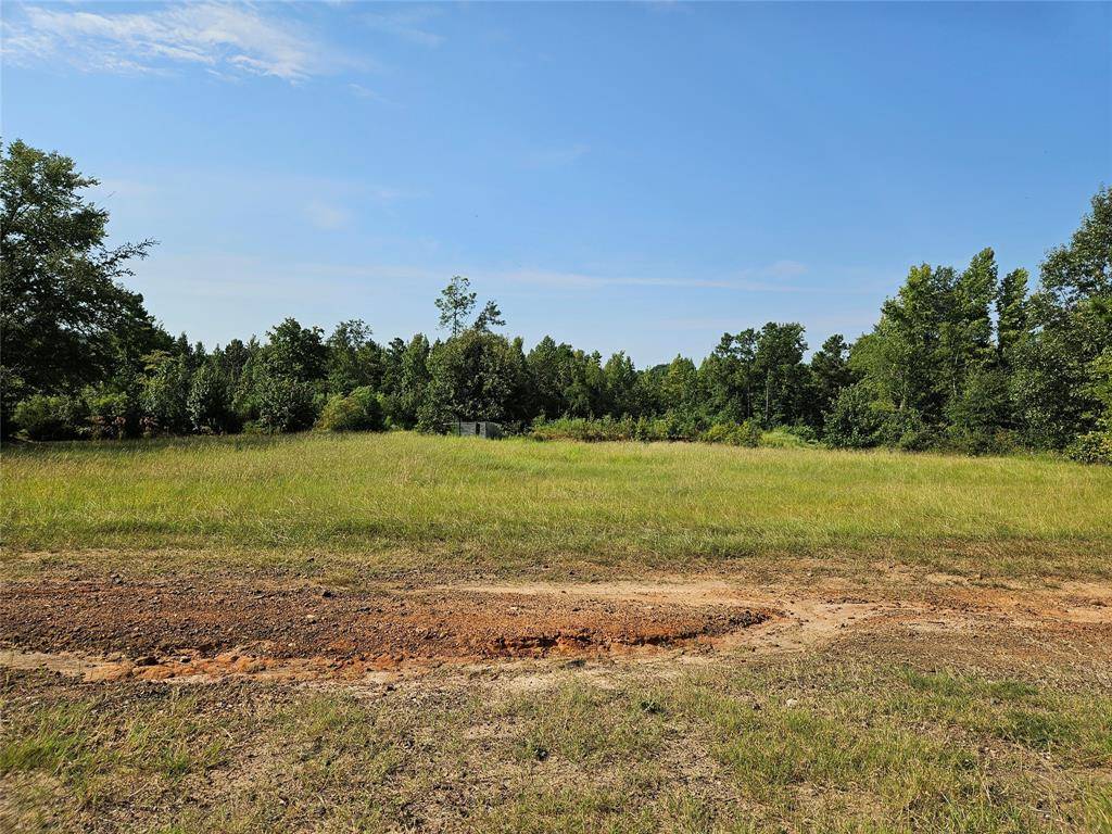 Henderson, TX 75654,TBD South Co. Rd 4255