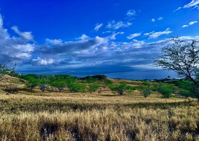 Kamuela, HI 96743,59-619 HOOPAI TRAIL