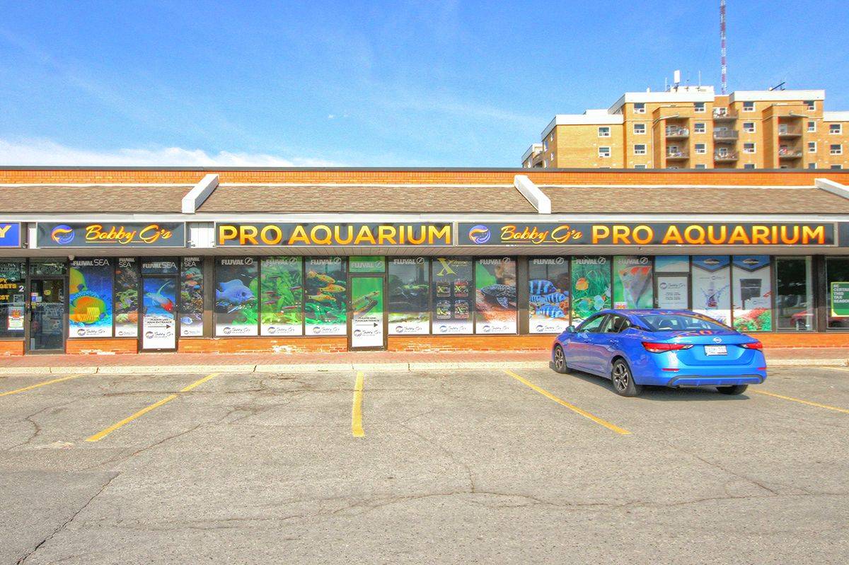 London South, ON N6J 4K2,99 BELMONT DR #5