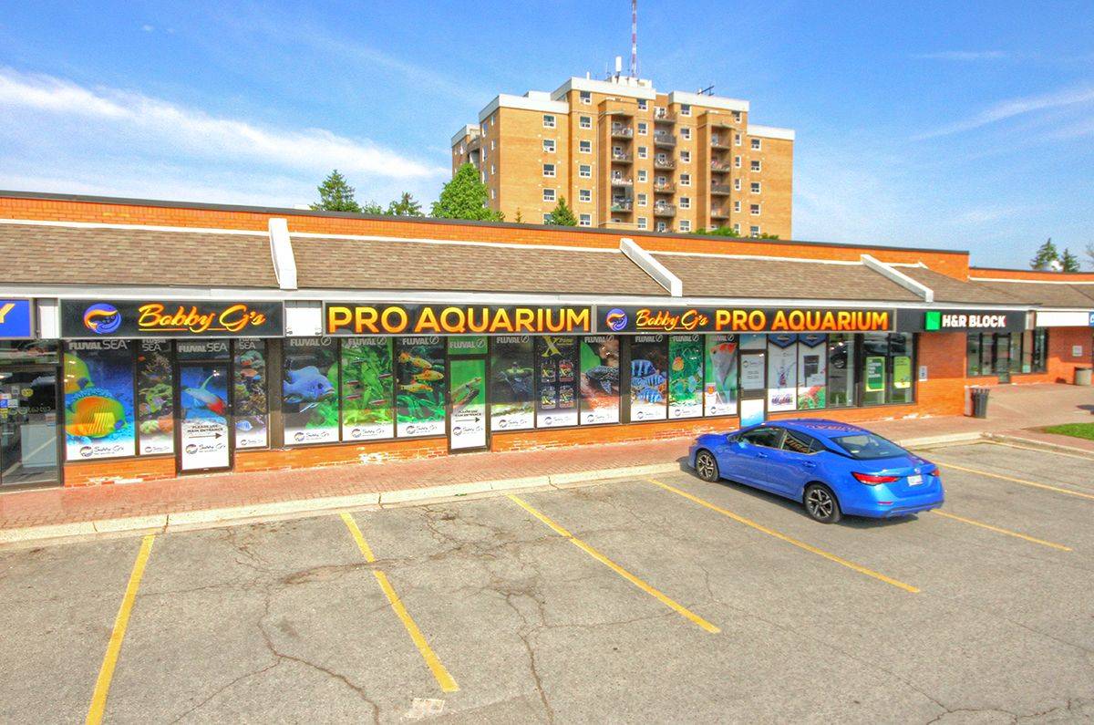 London South, ON N6J 4K2,99 BELMONT DR #5