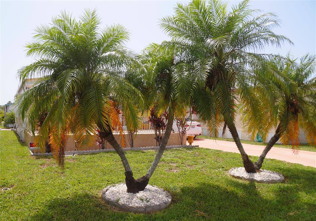 Fort Lauderdale, FL 33312,5280 SW 23rd Ave