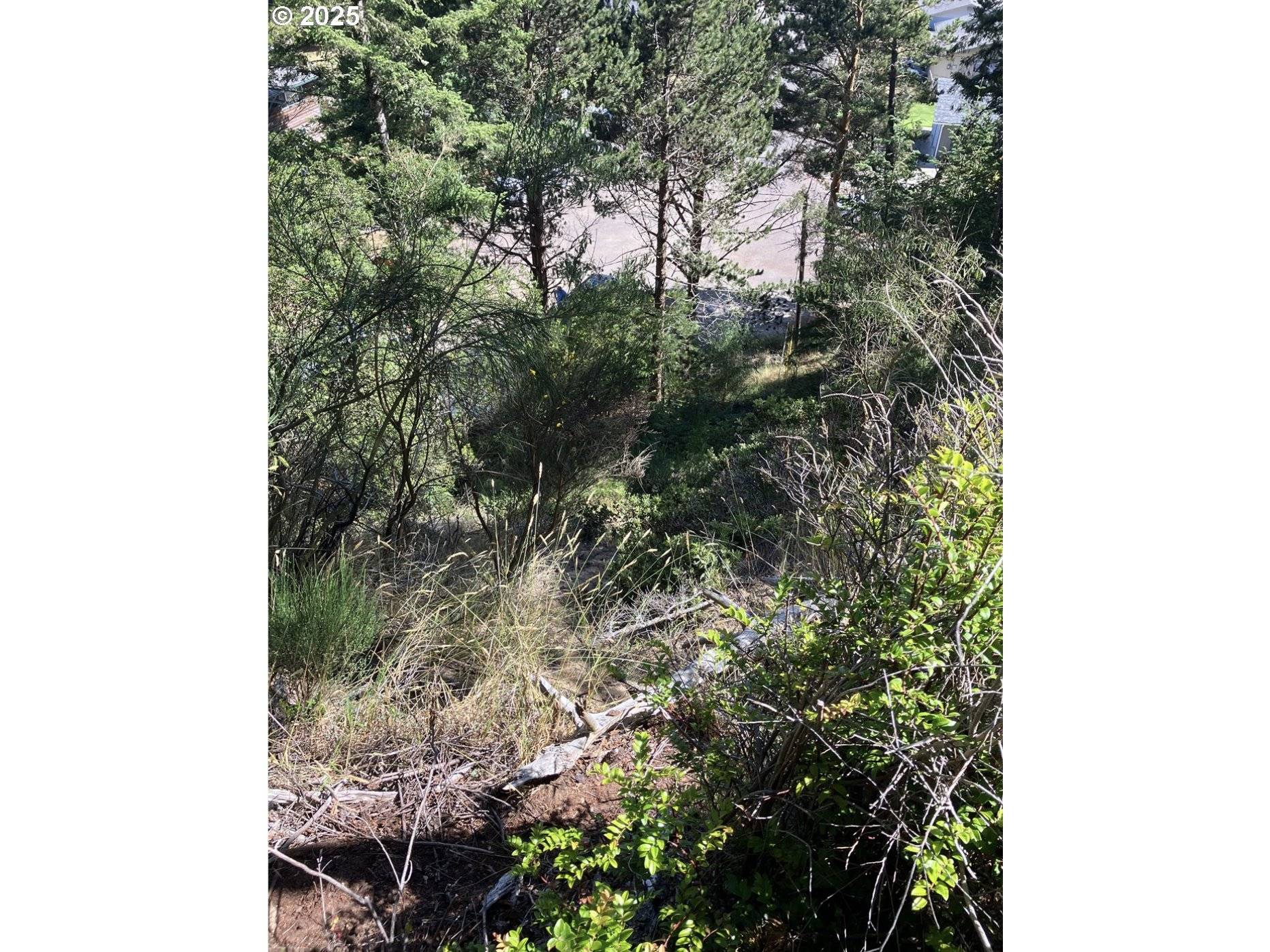 North Bend, OR 97459,Fir ST #06800