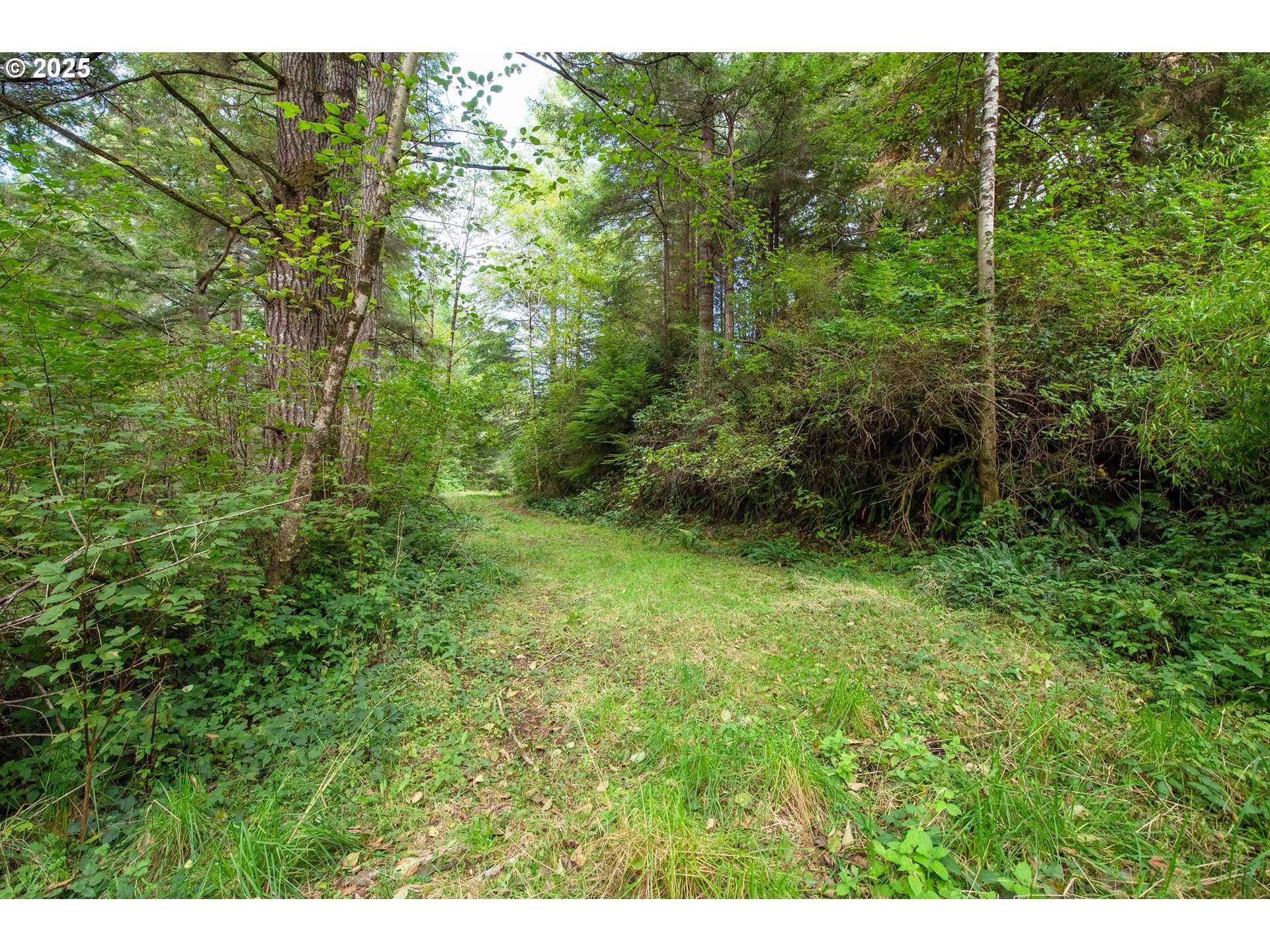 North Bend, OR 97459,0 Devereux LN