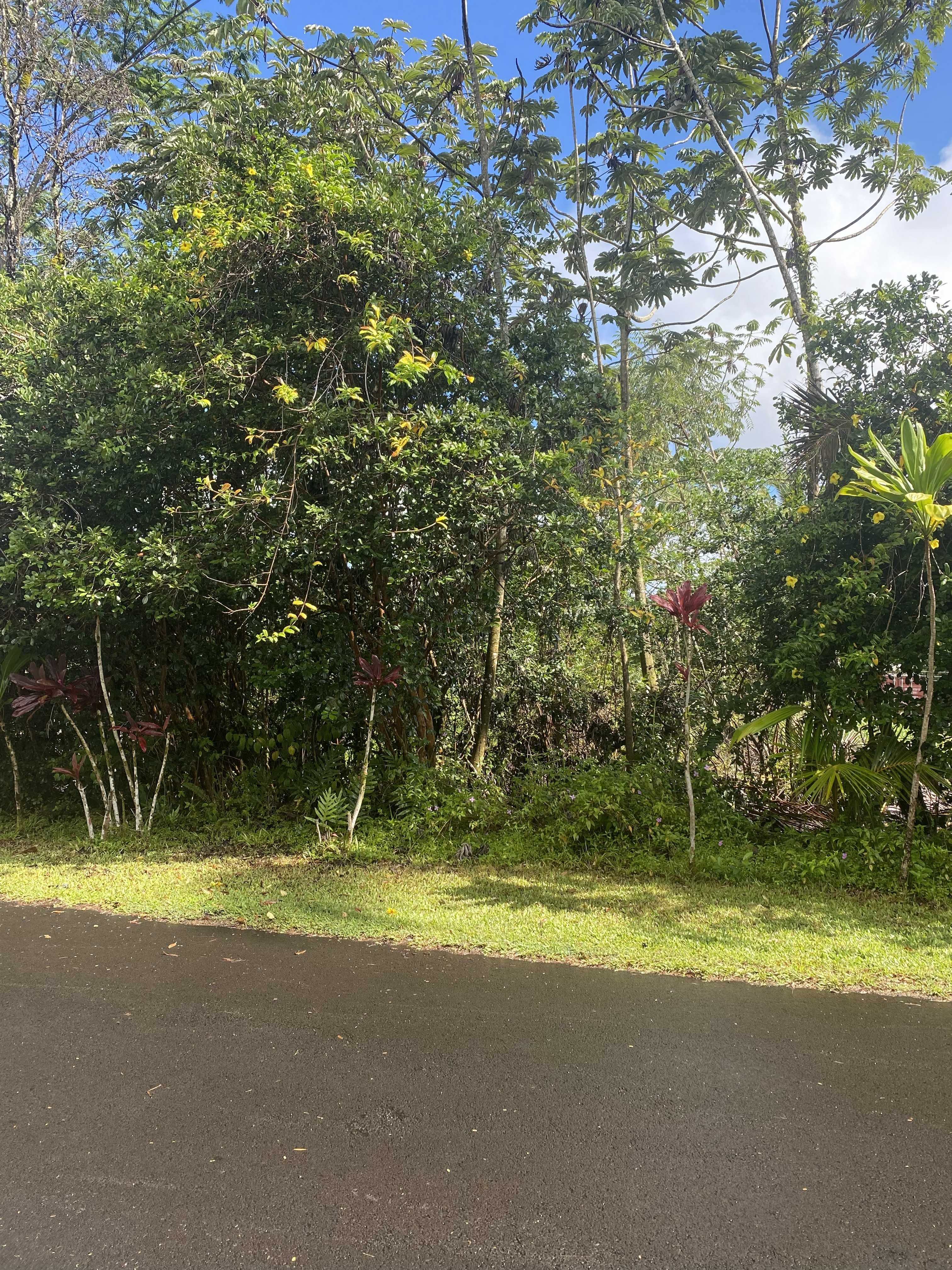 Pahoa, HI 96778,HONU ST