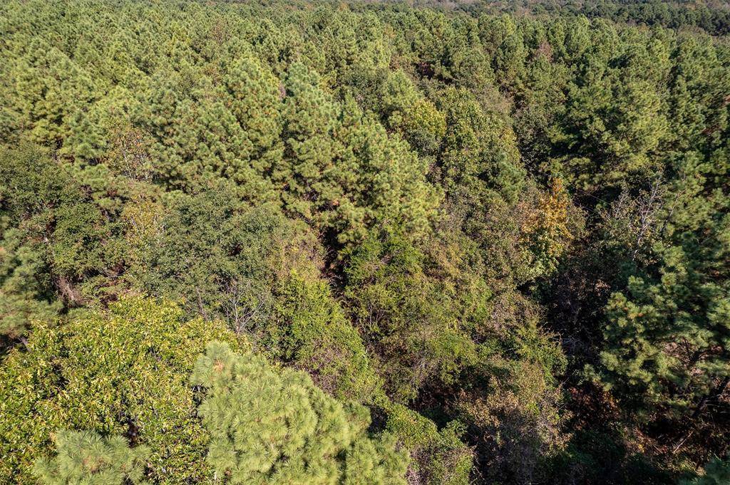 Winona, TX 75792,0 CR 359