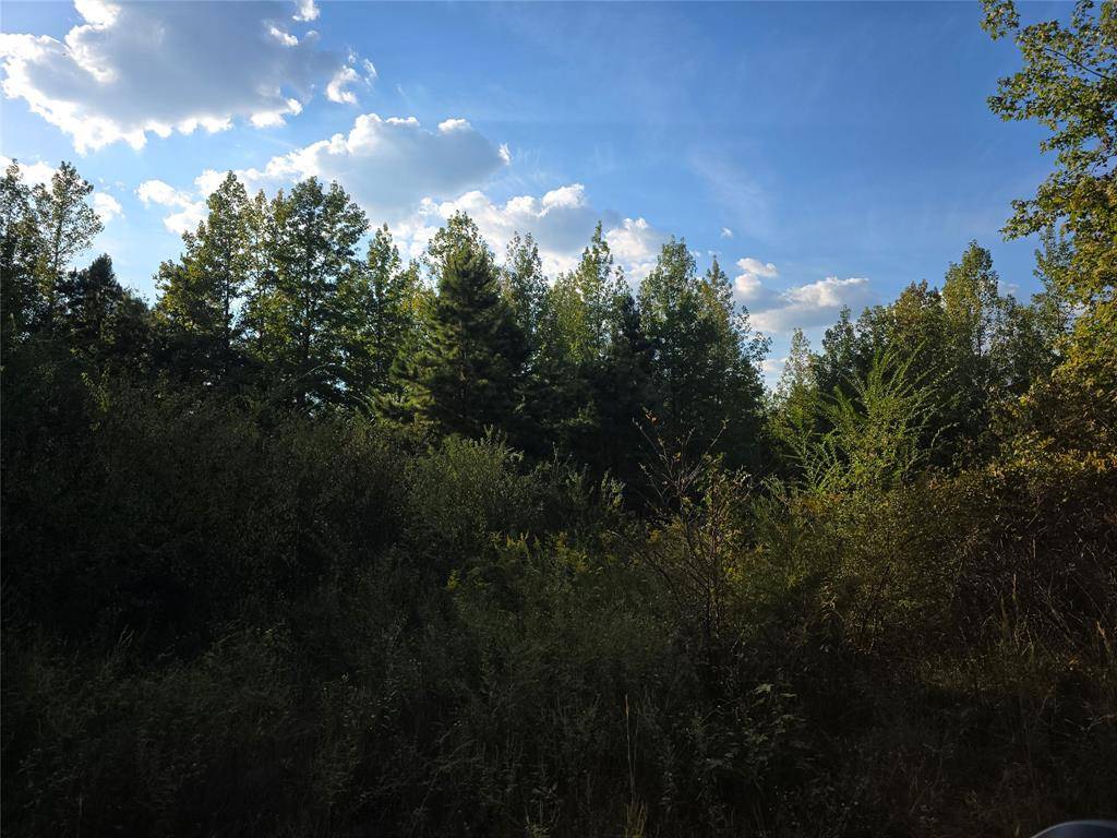 Hughes Springs, TX 75656,TBD CR 2864