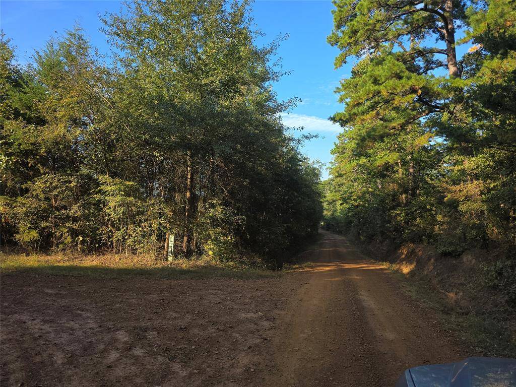 Hughes Springs, TX 75656,TBD CR 2864