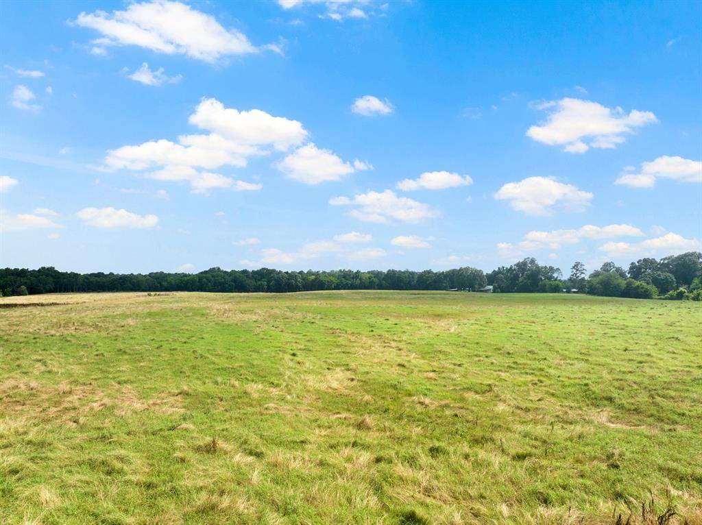 Pittsburg, TX 75686,TBD CR 2920