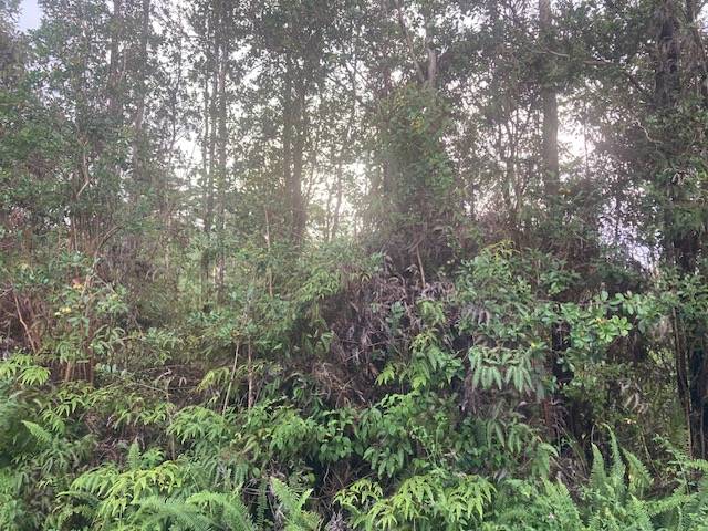 Pahoa, HI 96778,ALAPAI ST