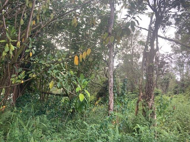 Pahoa, HI 96778,ALAPAI ST