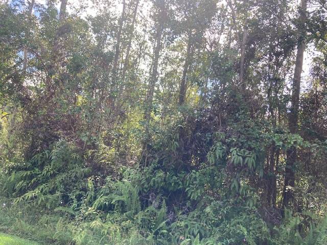 Pahoa, HI 96778,ALAPAI ST