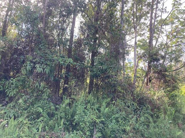 Pahoa, HI 96778,ALAPAI ST