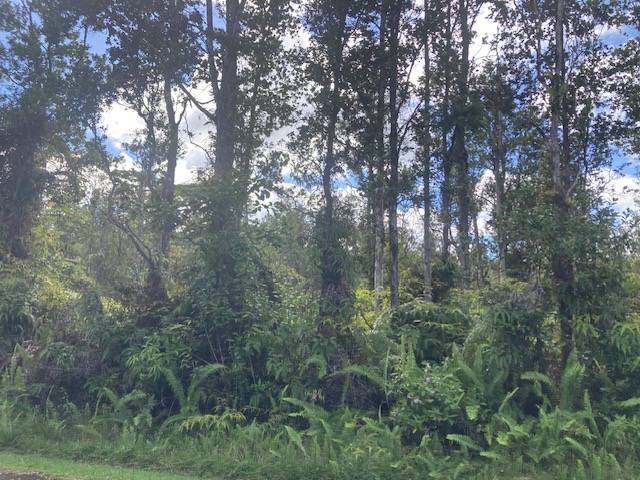 Pahoa, HI 96778,ALAPAI ST