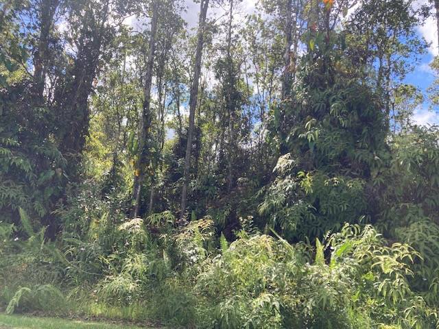 Pahoa, HI 96778,ALAPAI ST