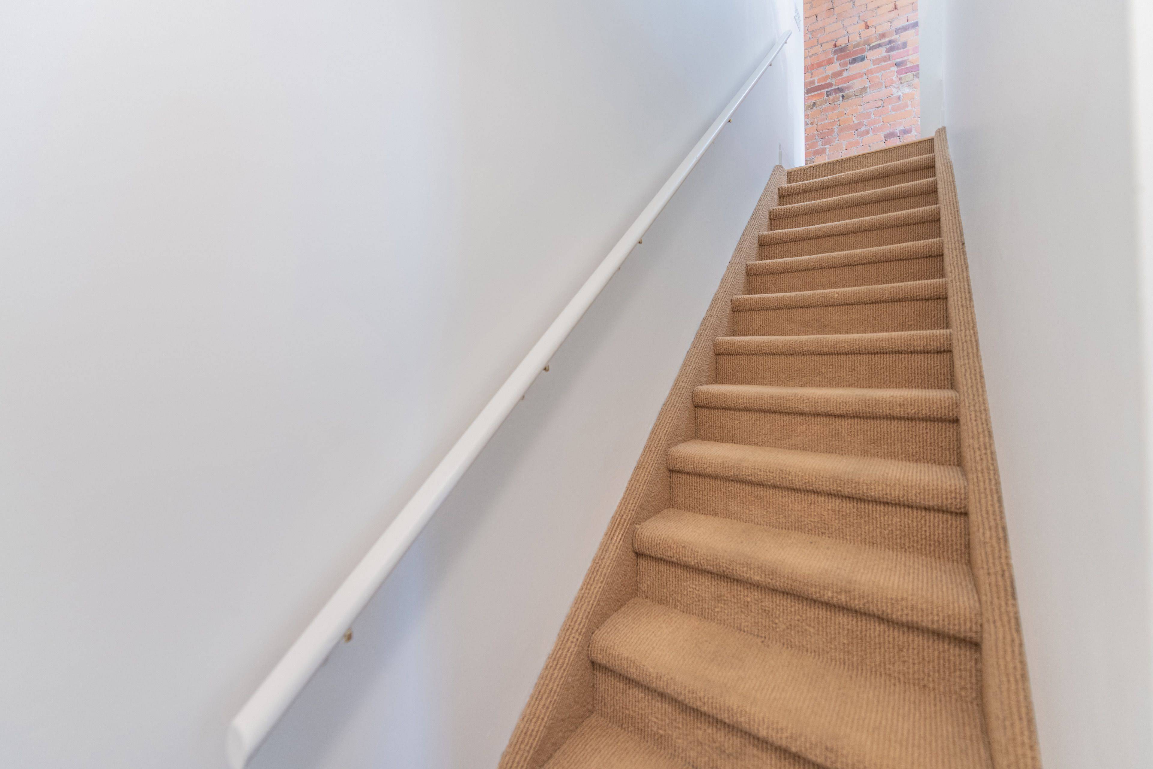 Toronto C02, ON M5R 3G8,1005 Bathurst ST