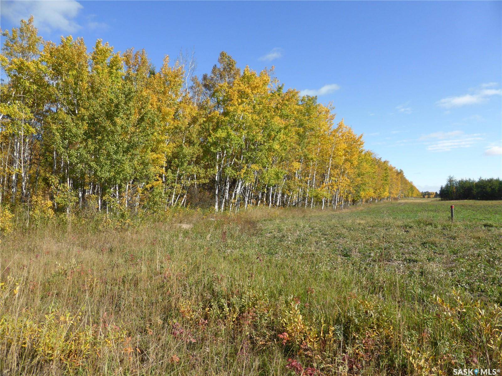 Meadow Lake Rm No.588, SK S0M 2M0,Rural Address