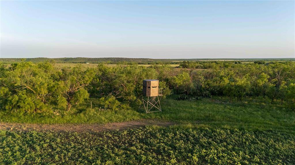 Gouldbusk, TX 76845,2367 County Road 311