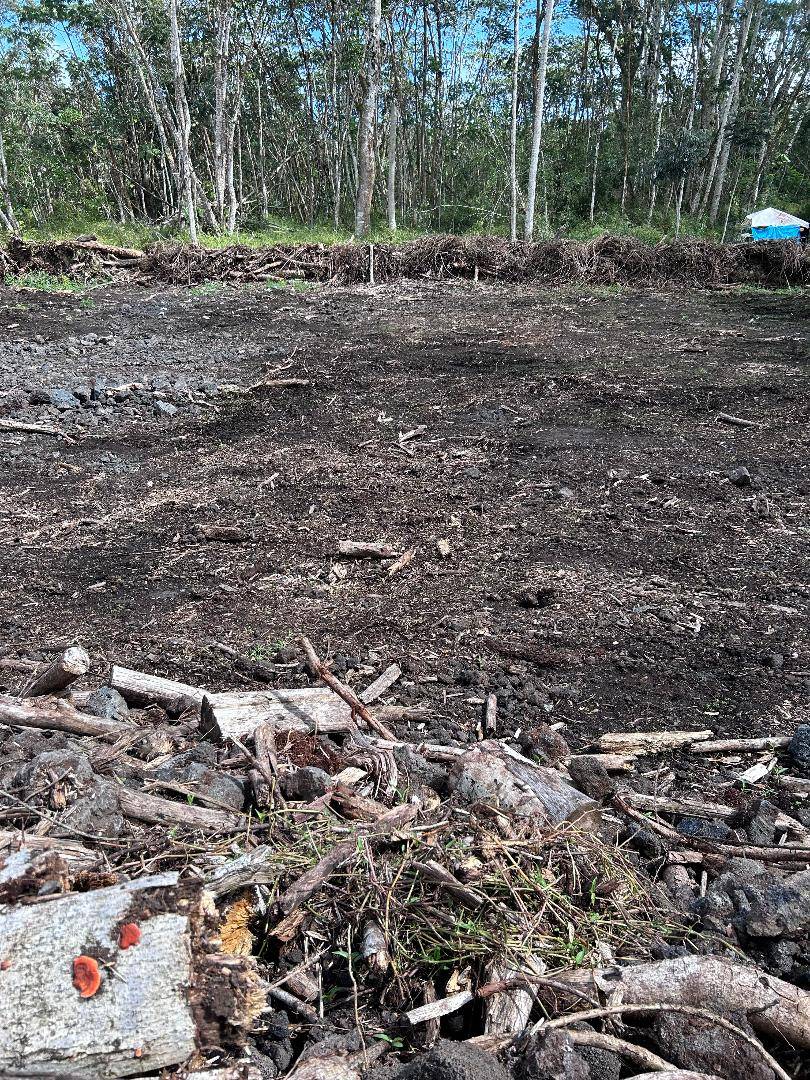 Pahoa, HI 96778,PLUMERIA RD