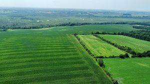 Brock, ON L0E 1E0,18500 18 Side Road