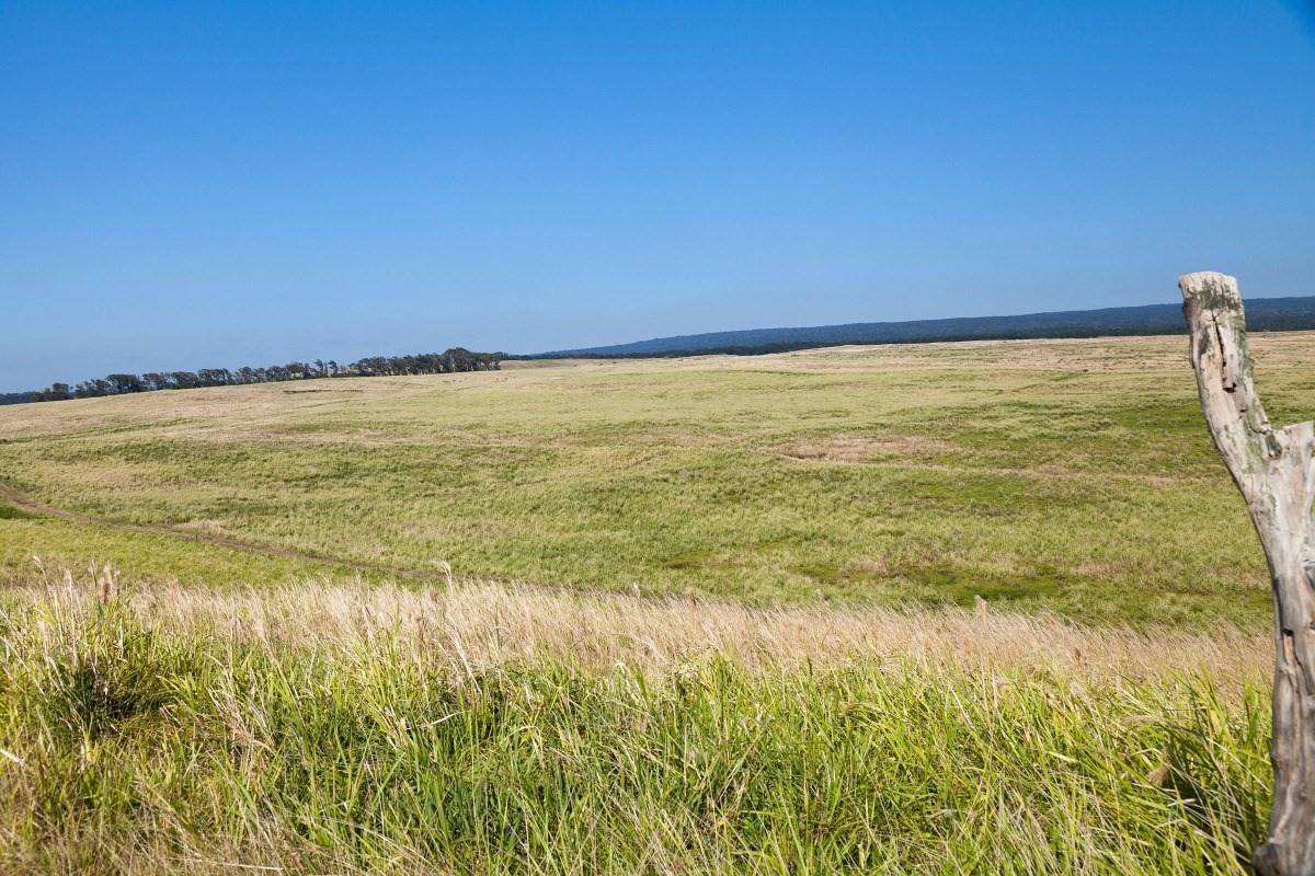 Naalehu, HI 96772,KAALUALU RD