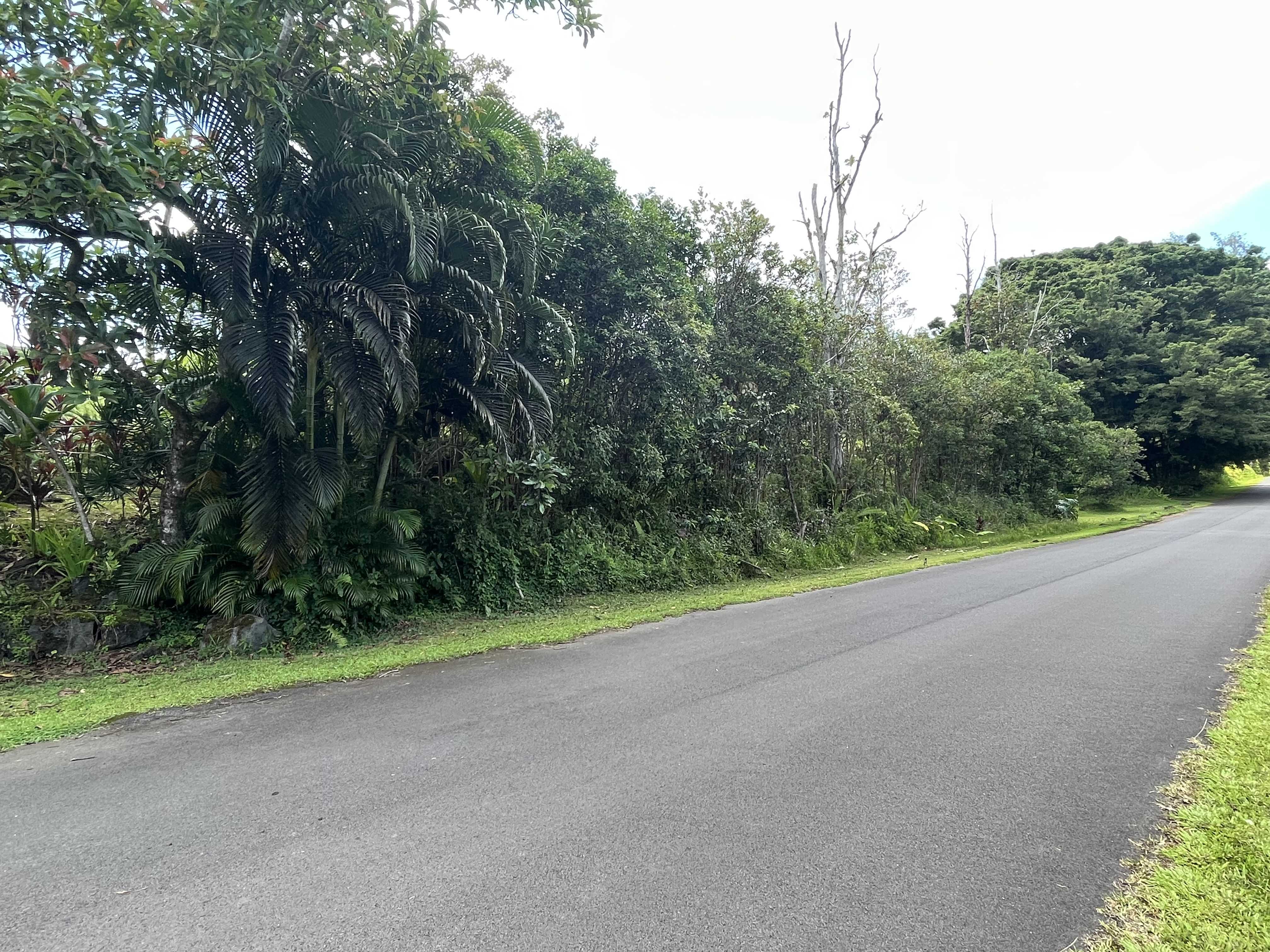 Pahoa, HI 96778,N POMAIKAI ST