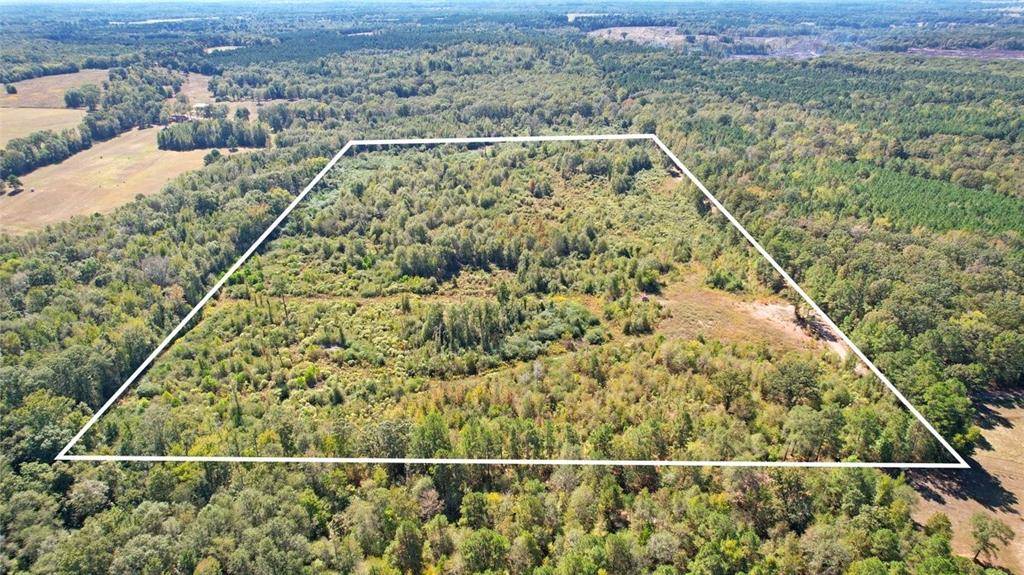 Omaha, TX 75571,TBD CR 3201 Whitmore Rd