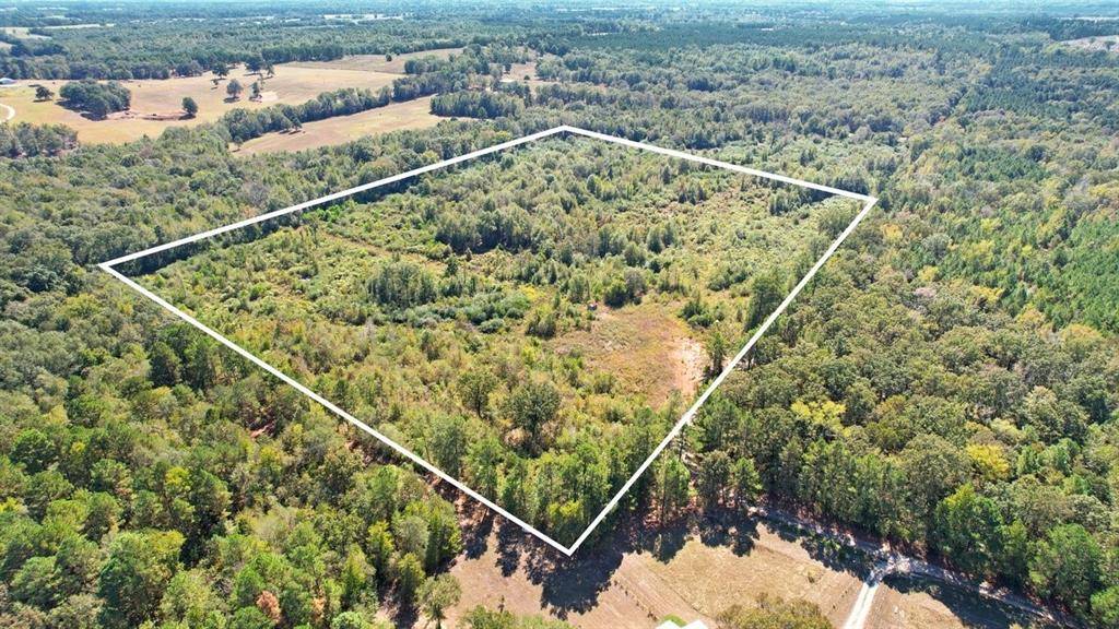 Omaha, TX 75571,TBD CR 3201 Whitmore Rd