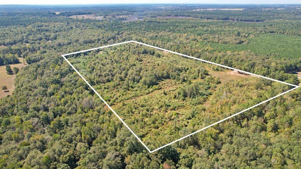 Omaha, TX 75571,TBD CR 3201 Whitmore Rd