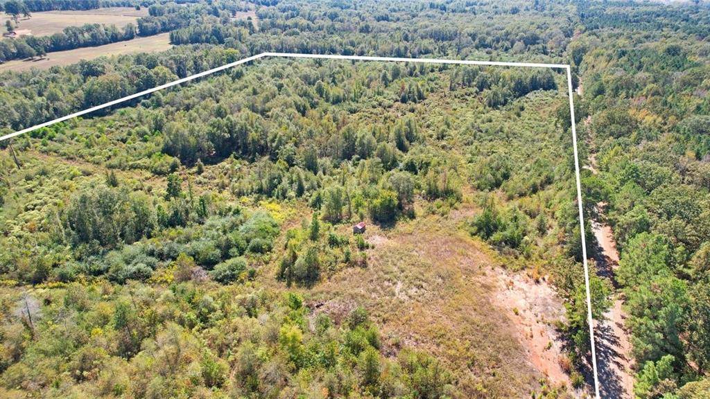 Omaha, TX 75571,TBD CR 3201 Whitmore Rd